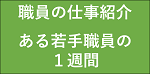 採用４年目職員のとある１週間